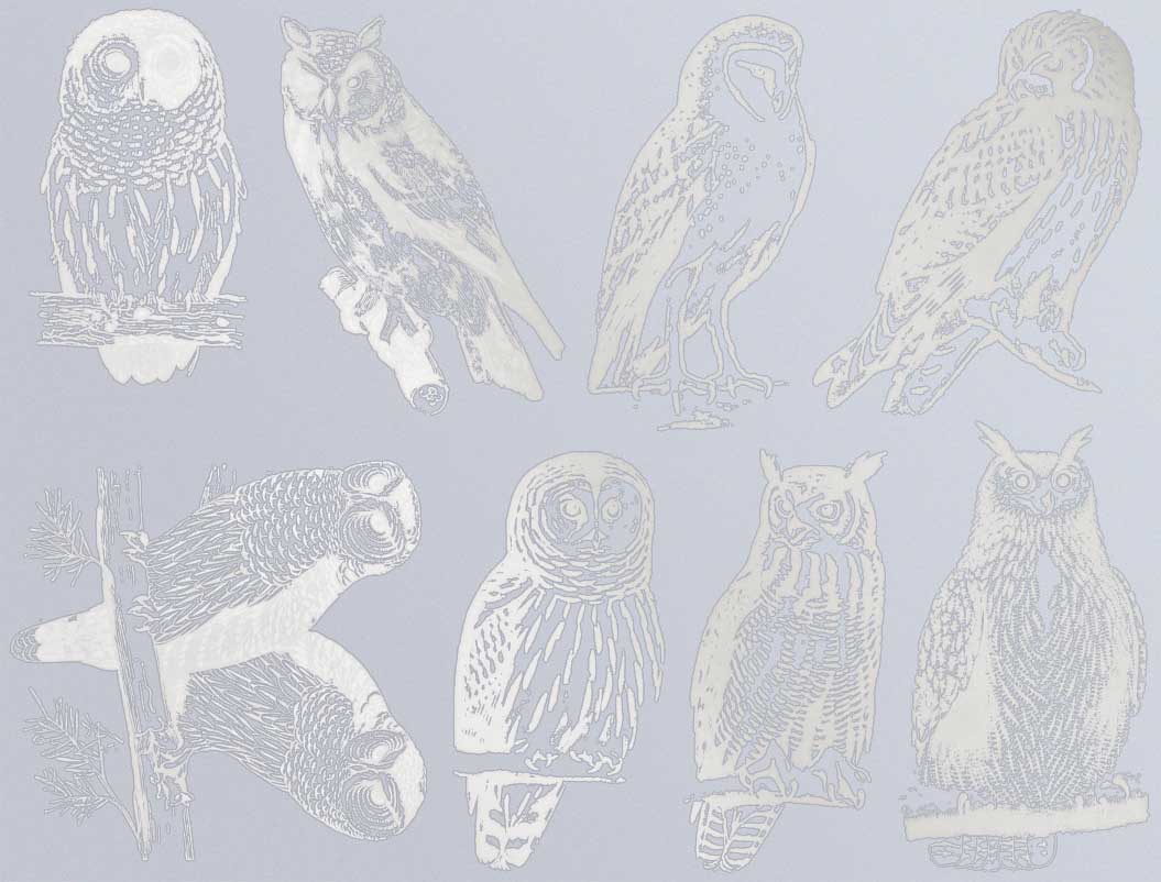 Décalcomanies Hibou - Céramique Cône 017 - Verre fusionné - Émail