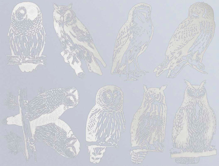 Décalcomanies Hibou - Céramique Cône 017 - Verre fusionné - Émail