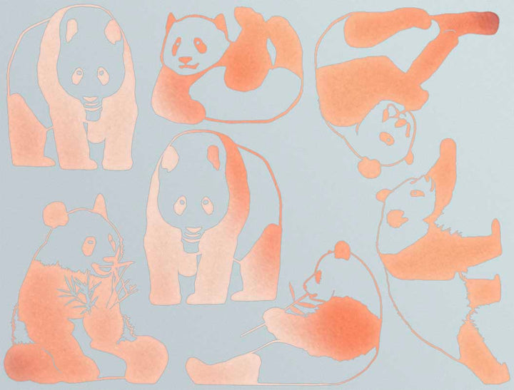 Décalcomanies Ours Panda - Céramique Cône 017 - Verre fusionné - Émail