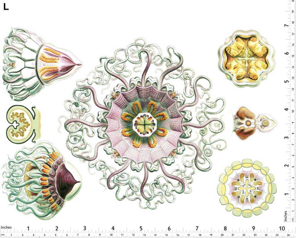 Rosa Quallen-Aufkleber - Nicht lebensmittelecht - Keramikkegel 017 - Geschmolzenes Glas