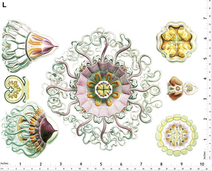 Rosa Quallen-Aufkleber - Nicht lebensmittelecht - Keramikkegel 017 - Geschmolzenes Glas