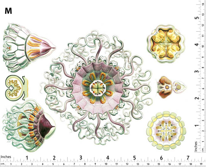 Rosa Quallen-Aufkleber - Nicht lebensmittelecht - Keramikkegel 017 - Geschmolzenes Glas
