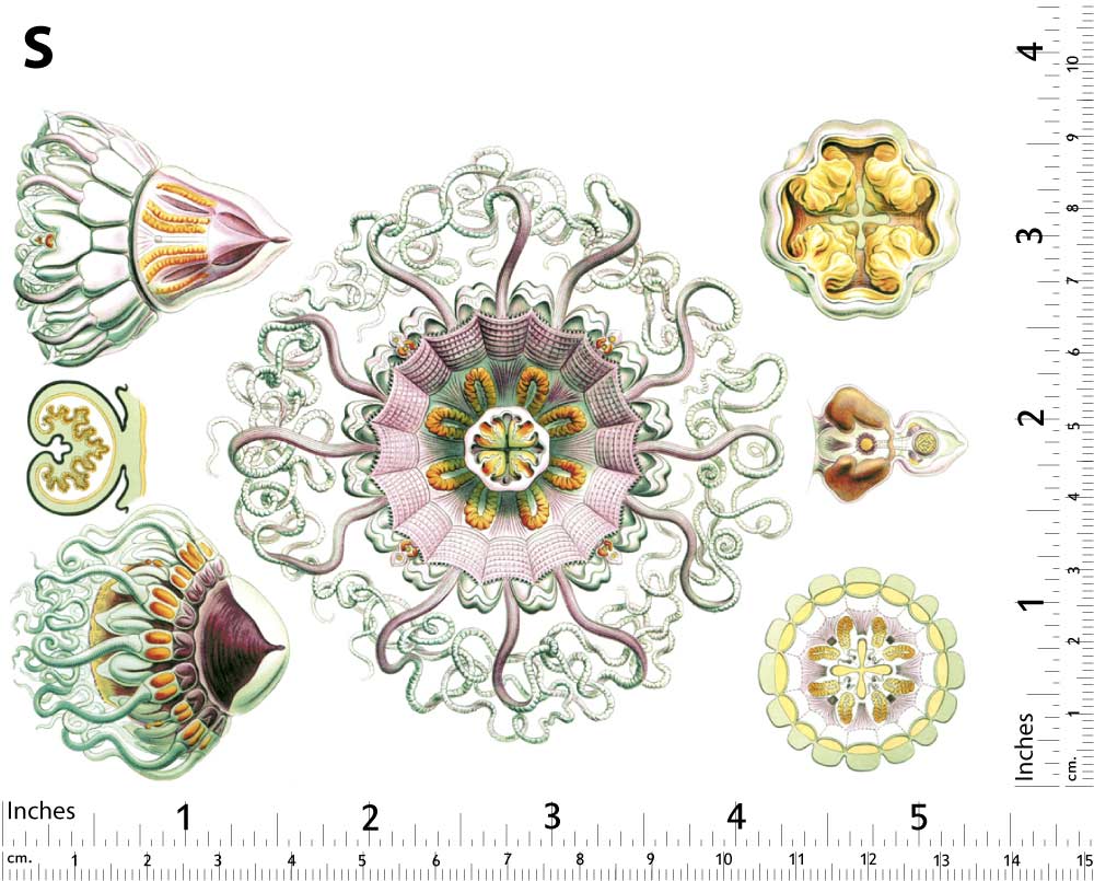 Rosa Quallen-Aufkleber - Nicht lebensmittelecht - Keramikkegel 017 - Geschmolzenes Glas