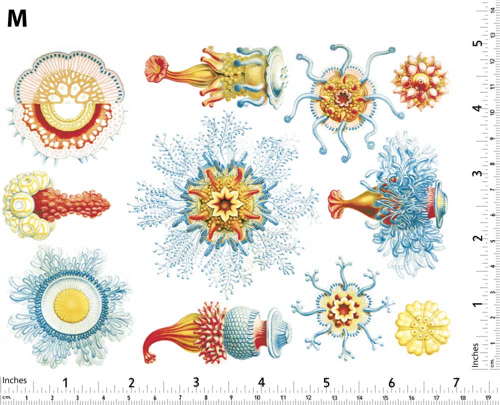 Créatures marines rouges/bleues Décalcomanies - Non adapté pour Produits Alimentaires - Céramique Cône 017 - Verre fusionné - Émail