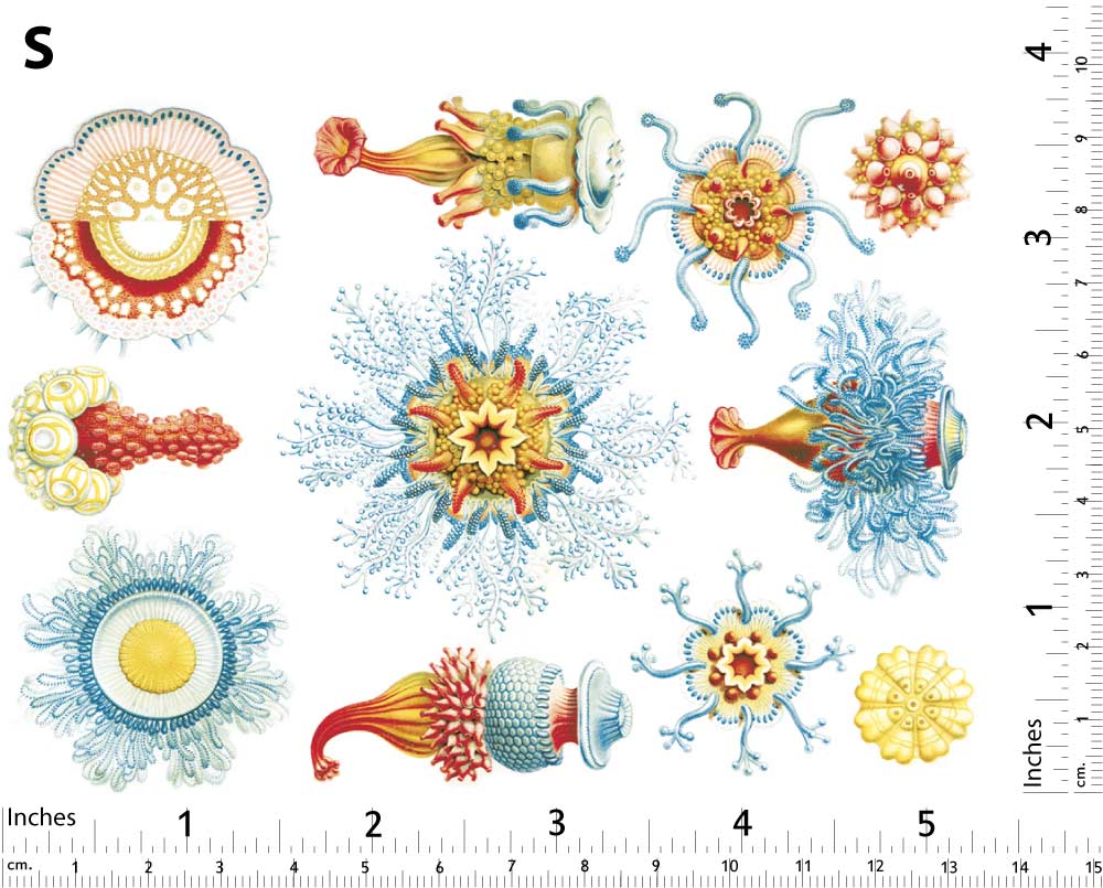 Créatures marines rouges/bleues Décalcomanies - Non adapté pour Produits Alimentaires - Céramique Cône 017 - Verre fusionné - Émail