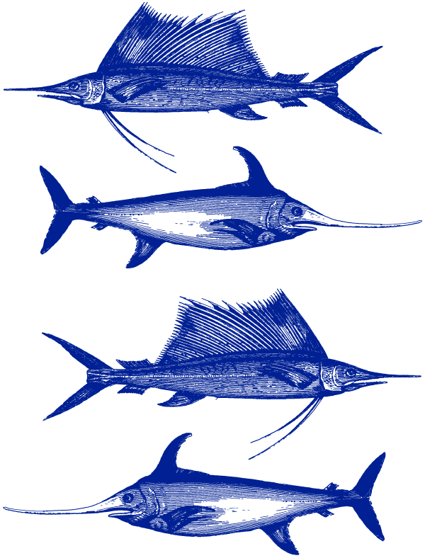 Décalcomanies Espadon voilier - Céramique Cône 017 - Fusionné - Émail
