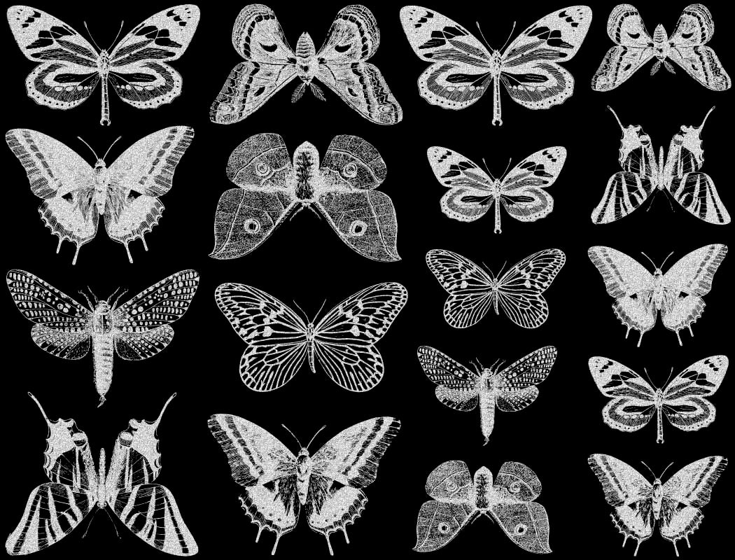 Petits Papillons Décalcomanies - Céramique Cône 017 - Verre Fusionné - Émail