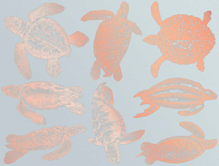 Sea Turtle Decals - Ceramic Cone 017 - Fused Glass - Enamel