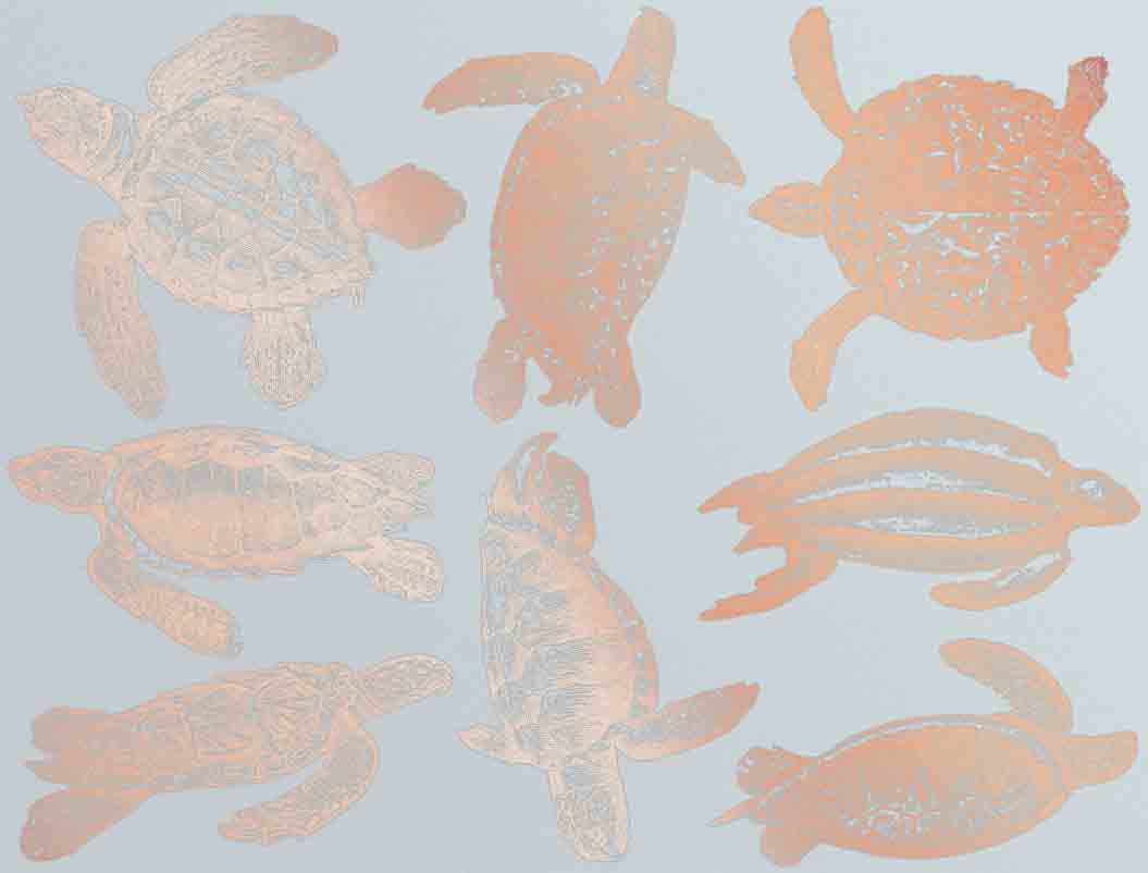 Tortue de mer Décalcomanies - Verrerie - Émail