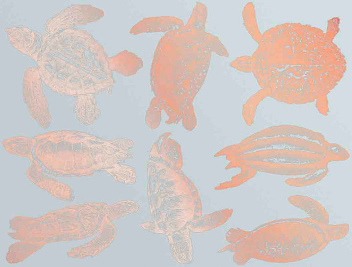 Tortue de mer Décalcomanies - Verrerie - Émail