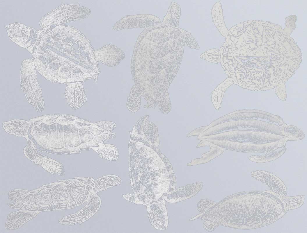 Sea Turtle Decals - Ceramic Cone 017 - Fused Glass - Enamel