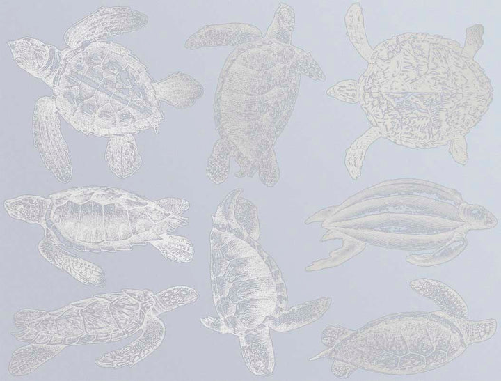 Sea Turtle Decals - Ceramic Cone 017 - Fused Glass - Enamel