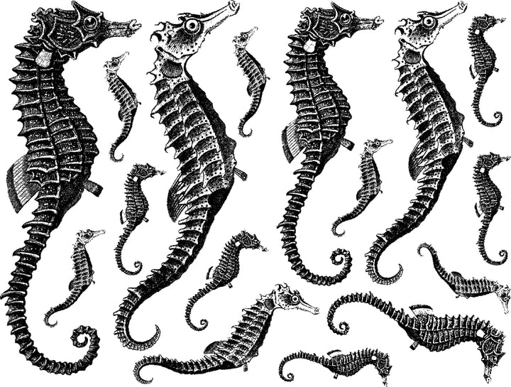 Décalcomanies Hippocampe - Céramique Cône 6 - En-glaçure