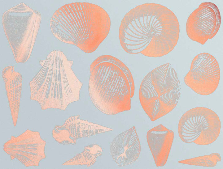 Décalcomanies Coquillage - Céramique Cône 017 - Verre fusionné - Émail