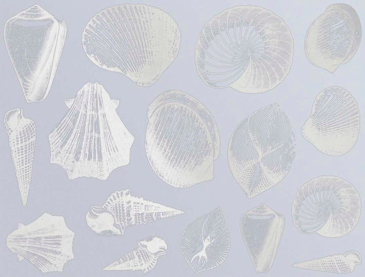 Décalcomanies Coquillage - Céramique Cône 017 - Verre fusionné - Émail