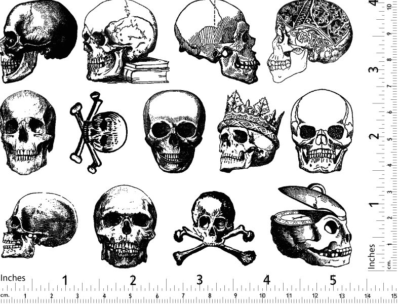 Vintage Skull Decals - Ceramic Cone 017 - Fused Glass - Enamel