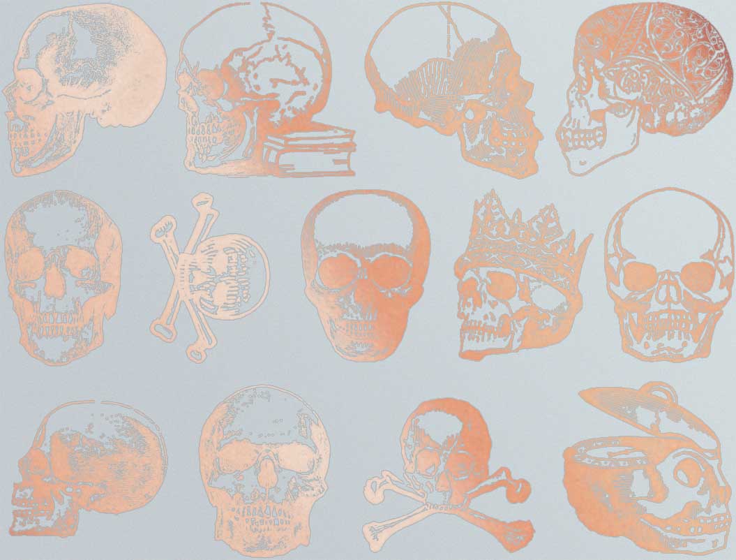 Vintage Skull Decals - Ceramic Cone 017 - Fused Glass - Enamel