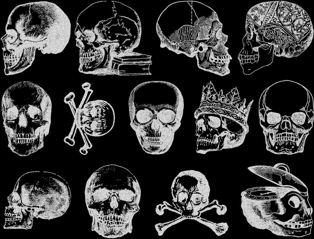 Vintage Skull Decals - Ceramic Cone 017 - Fused Glass - Enamel