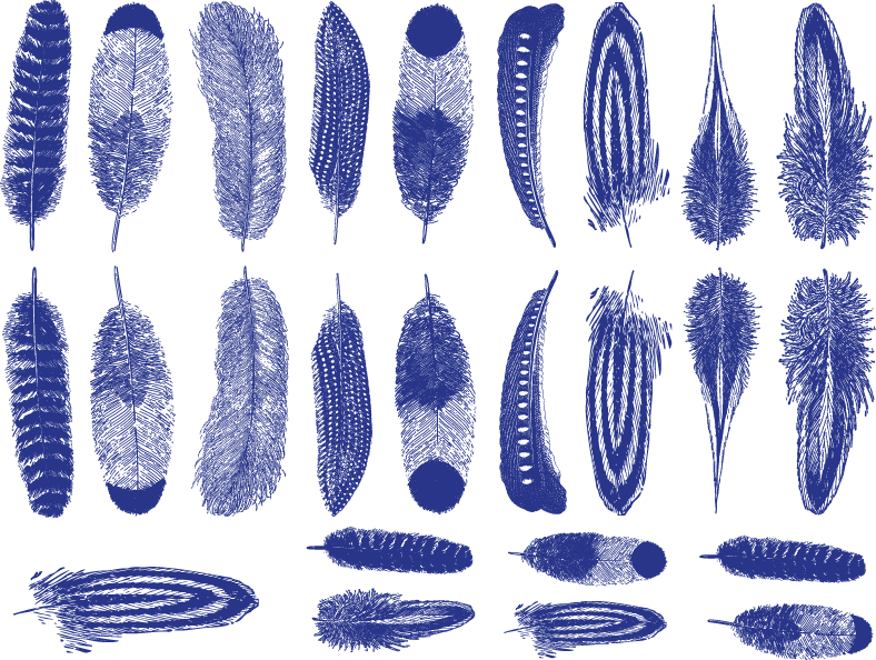 Petites Plumes Décalcomanies - Céramique Cône 017 - Verre Fusionné - Émail