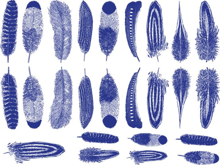 Petites Plumes Décalcomanies - Céramique Cône 017 - Verre Fusionné - Émail