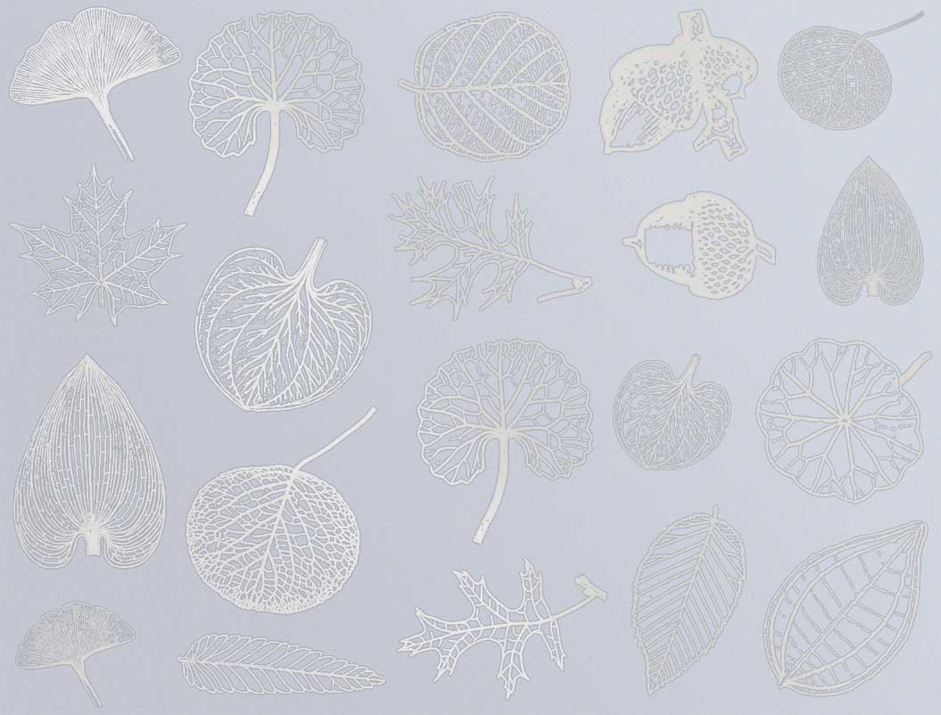 Décalcomanies de petites feuilles - Verrerie - Émail