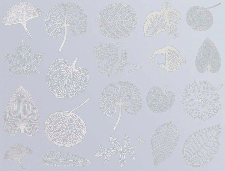 Décalcomanies de petites feuilles - Verrerie - Émail
