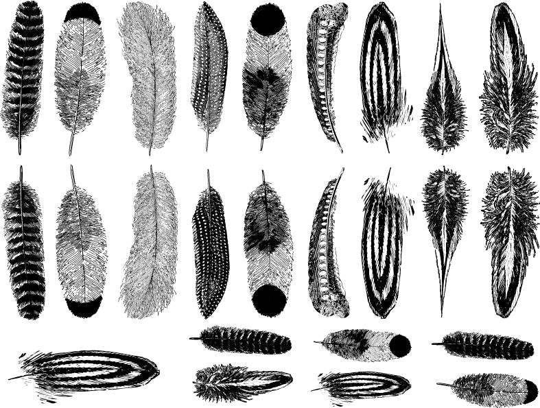 Small Feather Decals - Cone 6 - Inglaze 