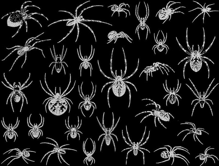 Décalcomanies Araignée - Céramique Cône 017 - Verre fusionné - Émail