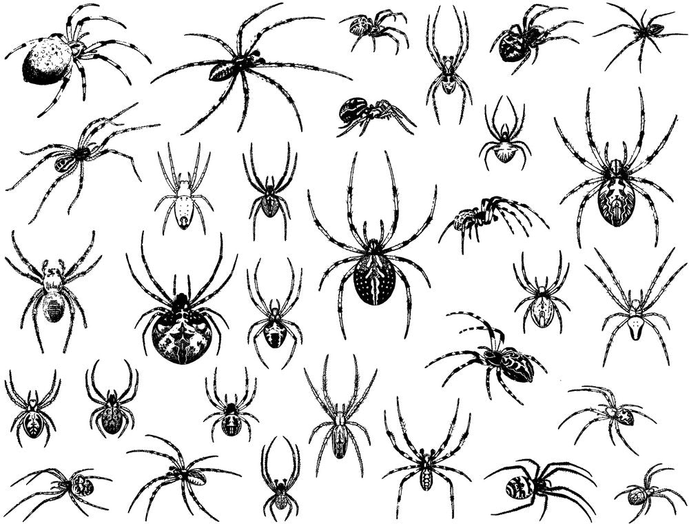 Spider Decals  - Cone 017 - Fused Glass 