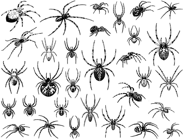 Décalcomanies Araignée - Céramique Cône 017 - Verre fusionné - Émail