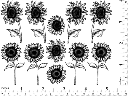 Décalcomanies Tournesol - Céramique Cône 017 - Verre fusionné - Émail