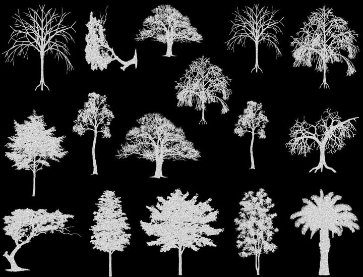 Décalcomanies d'arbres - Verrerie - Émail