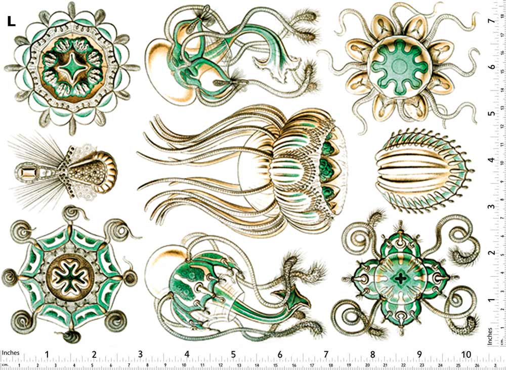 Méduse Turquoise Décalcomanies - Non adapté pour Produits Alimentaires - Céramique Cône 017 - Verre Fusionné - Émail