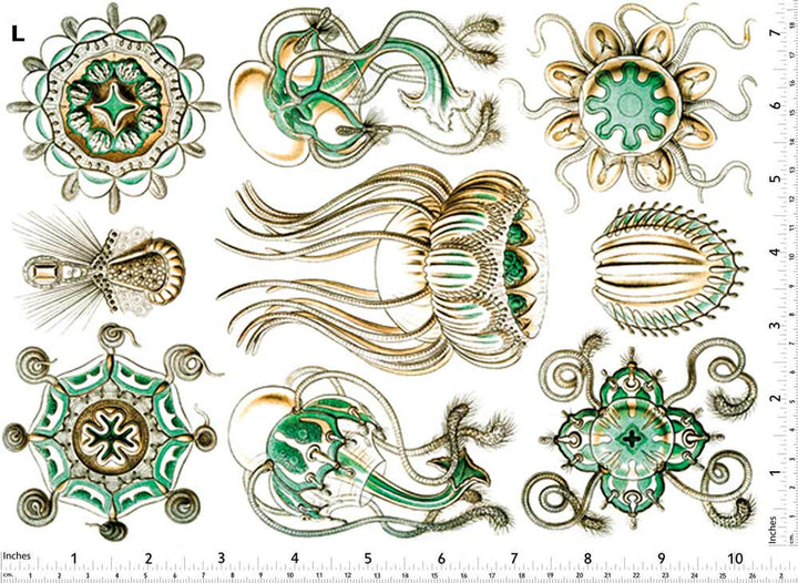 Méduse Turquoise Décalcomanies - Non adapté pour Produits Alimentaires - Céramique Cône 017 - Verre Fusionné - Émail