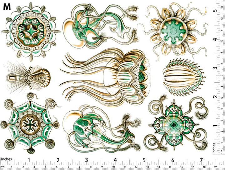 Méduse Turquoise Décalcomanies - Non adapté pour Produits Alimentaires - Céramique Cône 017 - Verre Fusionné - Émail