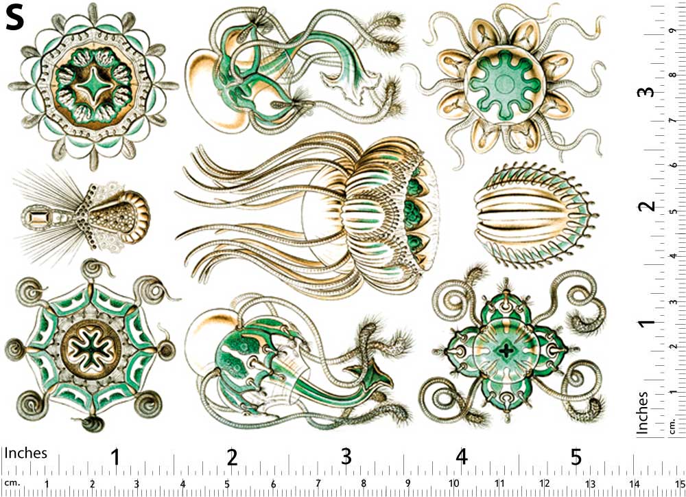 Méduse Turquoise Décalcomanies - Non adapté pour Produits Alimentaires - Céramique Cône 017 - Verre Fusionné - Émail