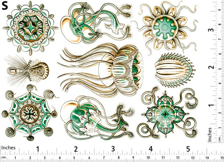 Méduse Turquoise Décalcomanies - Non adapté pour Produits Alimentaires - Céramique Cône 017 - Verre Fusionné - Émail
