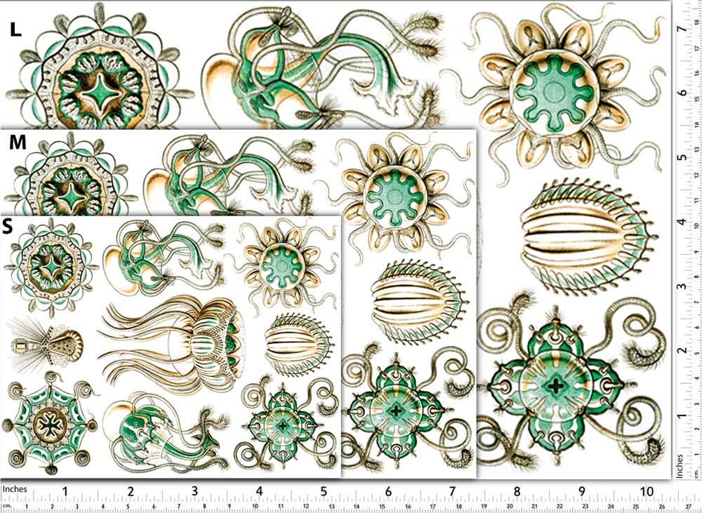 Méduse Turquoise Décalcomanies - Non adapté pour Produits Alimentaires - Céramique Cône 017 - Verre Fusionné - Émail