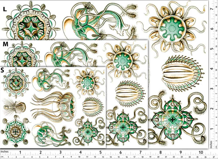 Méduse Turquoise Décalcomanies - Non adapté pour Produits Alimentaires - Céramique Cône 017 - Verre Fusionné - Émail