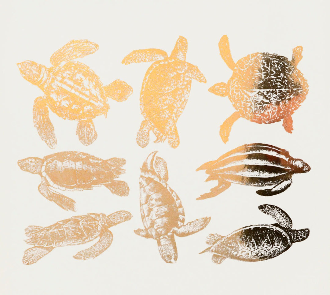 Sea Turtle Decals - Ceramic Cone 017 - Fused Glass - Enamel