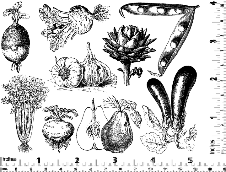 Vintage Vegetable Decals - Ceramic Cone 017 - Fused Glass - Enamel