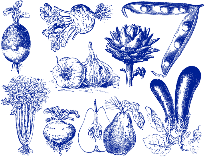 Vintage Vegetable Decals - Ceramic Cone 017 - Fused Glass - Enamel