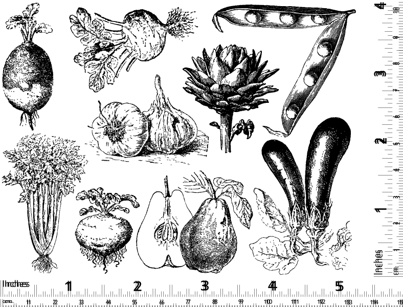 Vintage Vegetable Decals - Glassware - Enamel