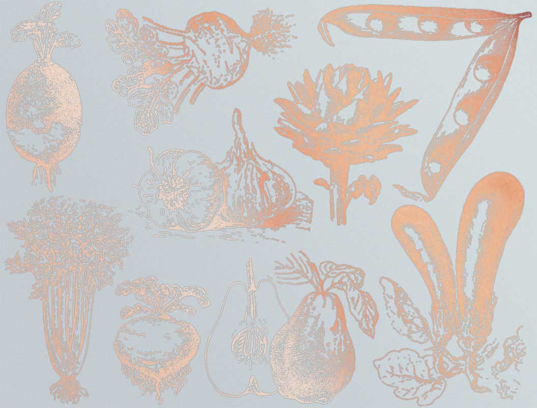 Vintage Vegetable Decals - Ceramic Cone 017 - Fused Glass - Enamel