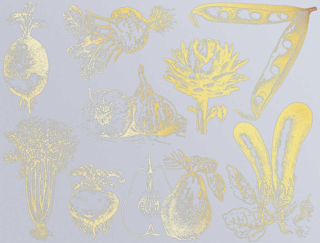 Vintage Vegetable Decals - Ceramic Cone 017 - Fused Glass - Enamel