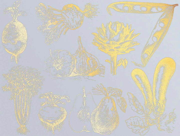 Vintage Vegetable Decals - Ceramic Cone 017 - Fused Glass - Enamel