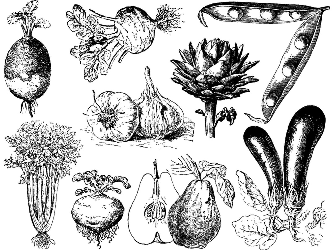 Vintage Vegetable Decals - Ceramic Cone 017 - Fused Glass - Enamel