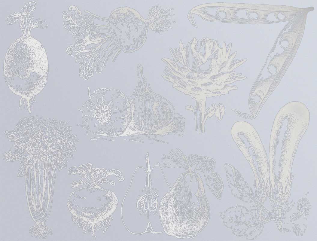 Vintage Vegetable Decals - Ceramic Cone 017 - Fused Glass - Enamel