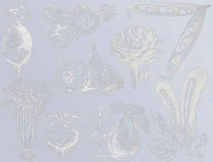 Vintage Vegetable Decals - Ceramic Cone 017 - Fused Glass - Enamel