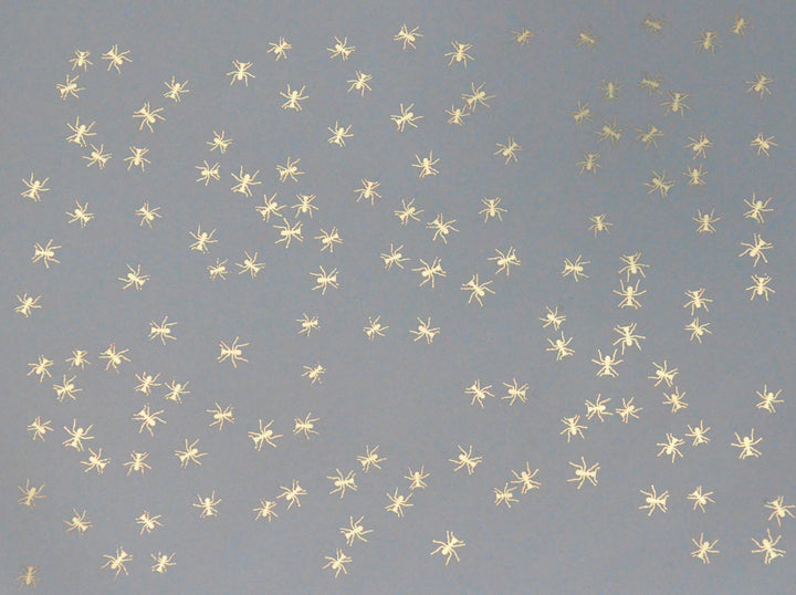 Décalcomanies Fourmi - Céramique Cône 017 - Verre fusionné - Émail